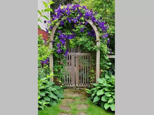 Lưu ý khi thiết kế cổng nhà vườn đẹp